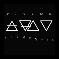 VE white logo