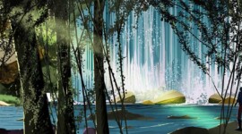 Environment Design