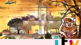 Environment Design